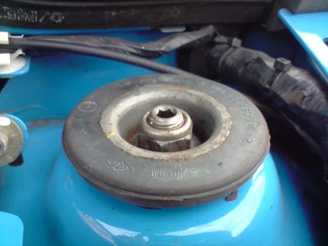 P051108_0833.webp