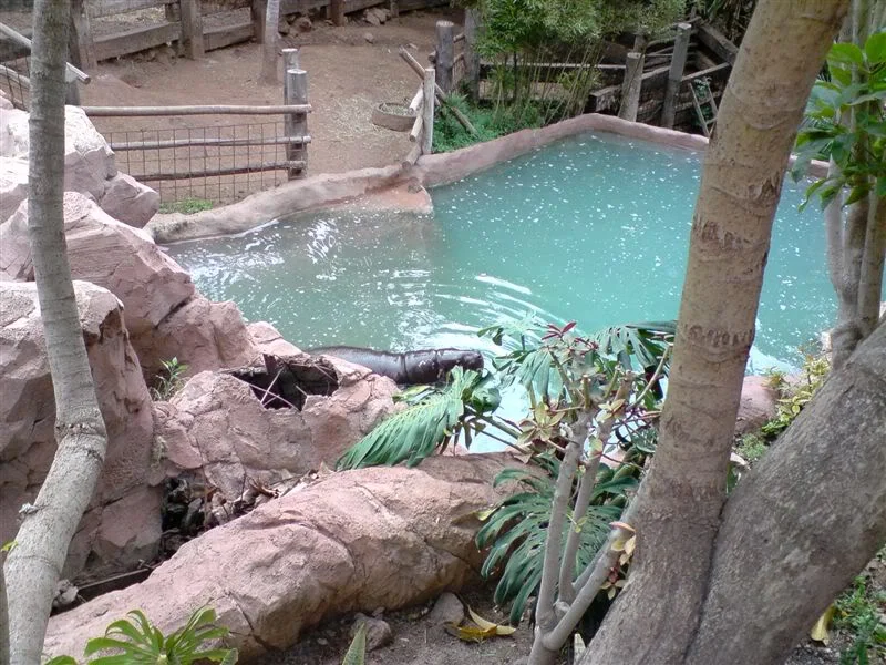 P081107_1243.webp
