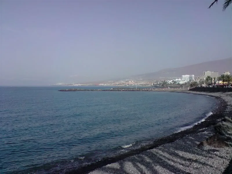 P091107_1105.webp