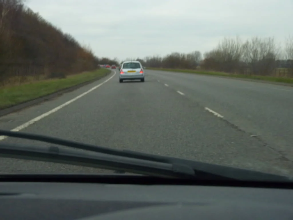 P1000026.webp