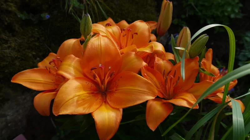 P1000033.webp