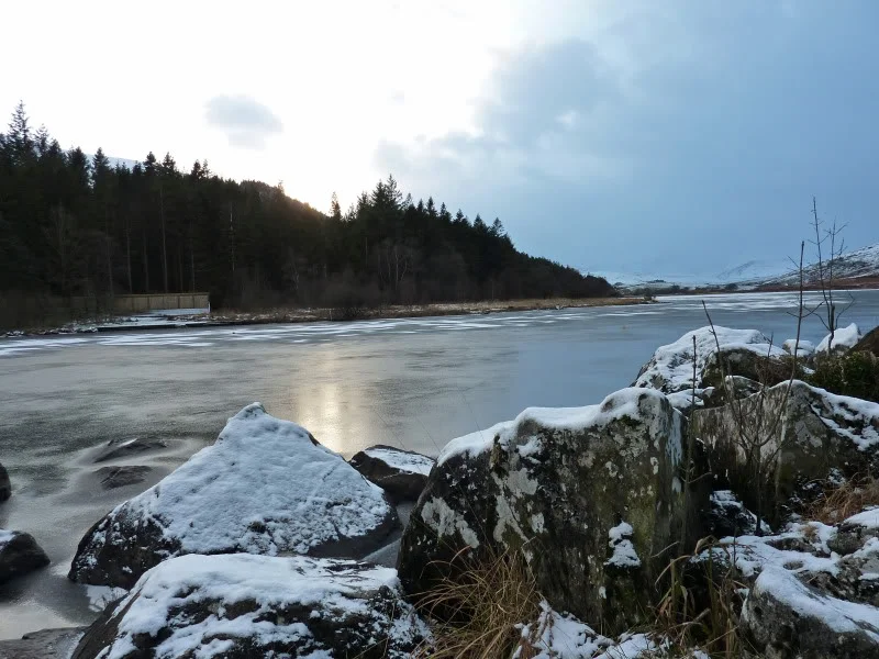 P1000070.webp