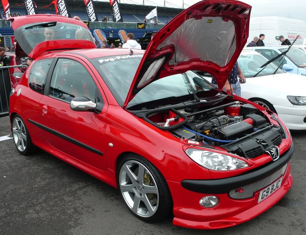 P1000075rs.webp