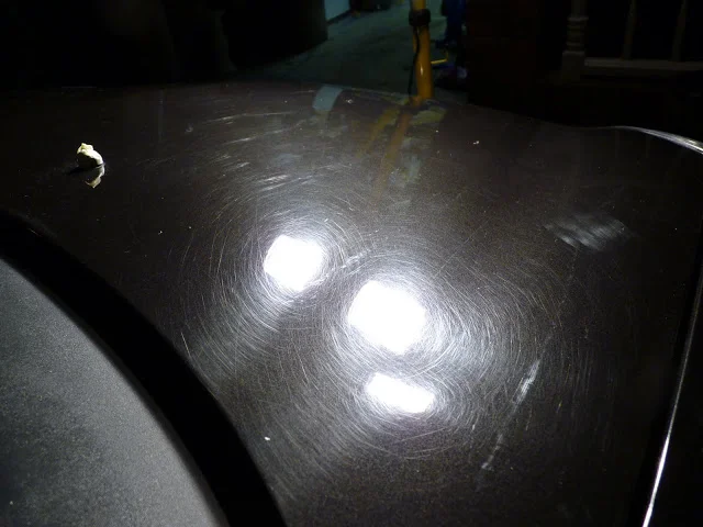 P1000109.webp