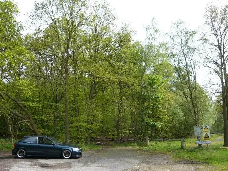 P1000120.webp
