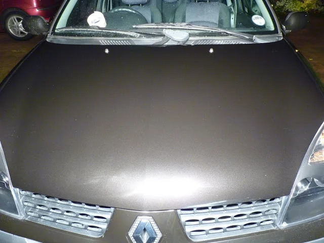 P1000120.webp