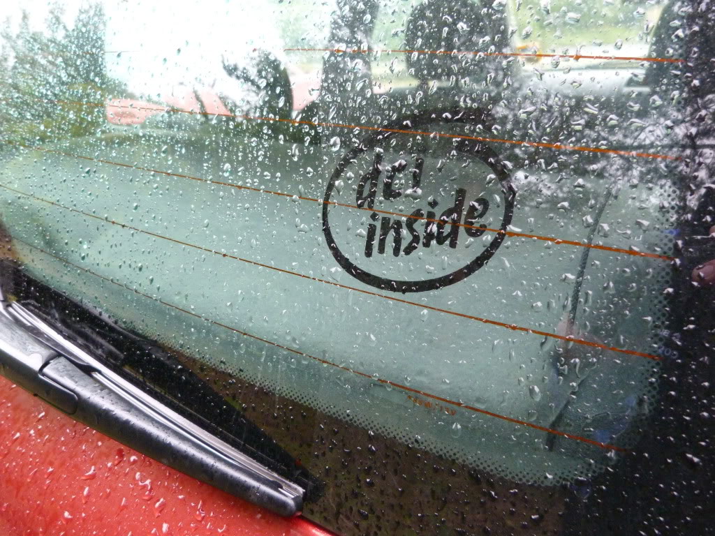 P1000135.jpg