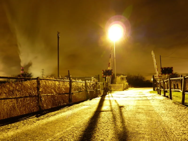 P1000156.webp