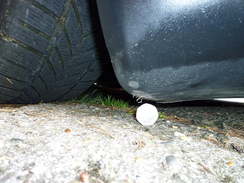 P1000163Web.jpg