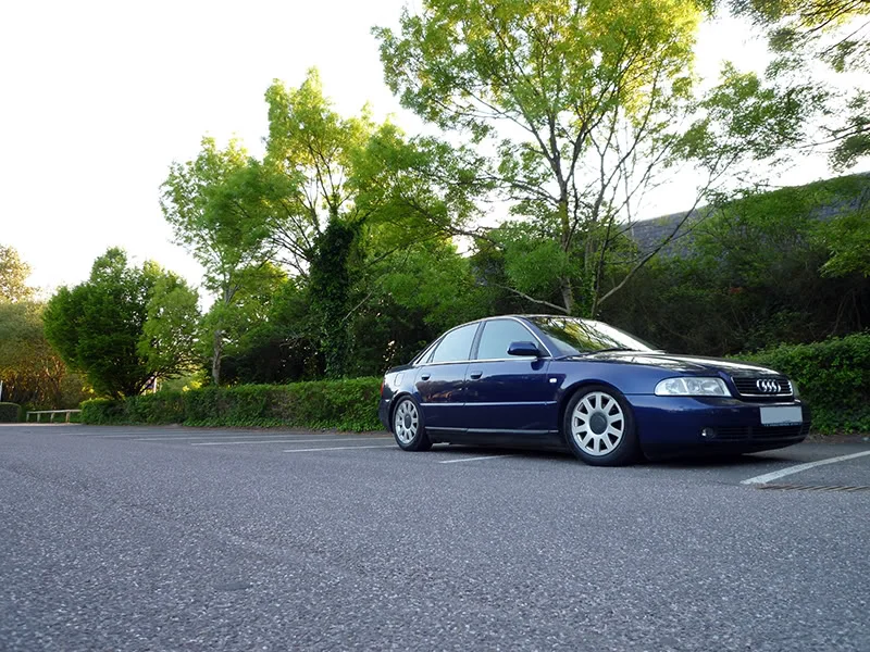 P1000164Web.webp