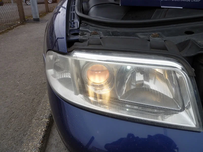 P1000187Web.webp