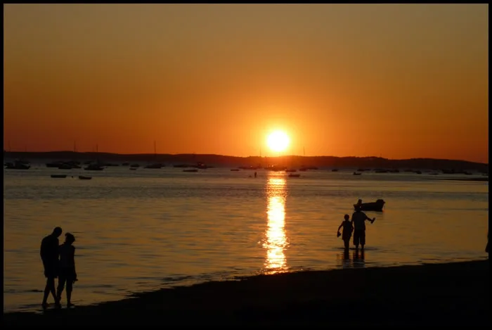 P1000188.webp