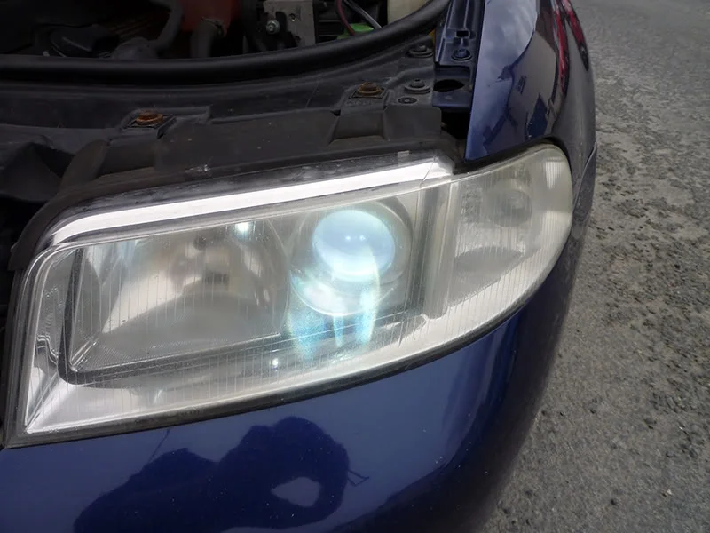 P1000188Web.webp