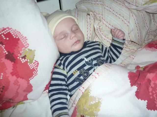 P1000196-1.webp