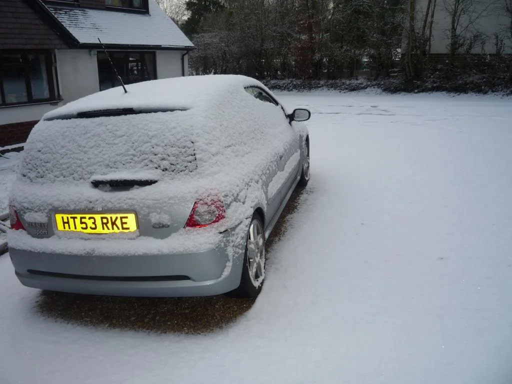 P1000221.webp