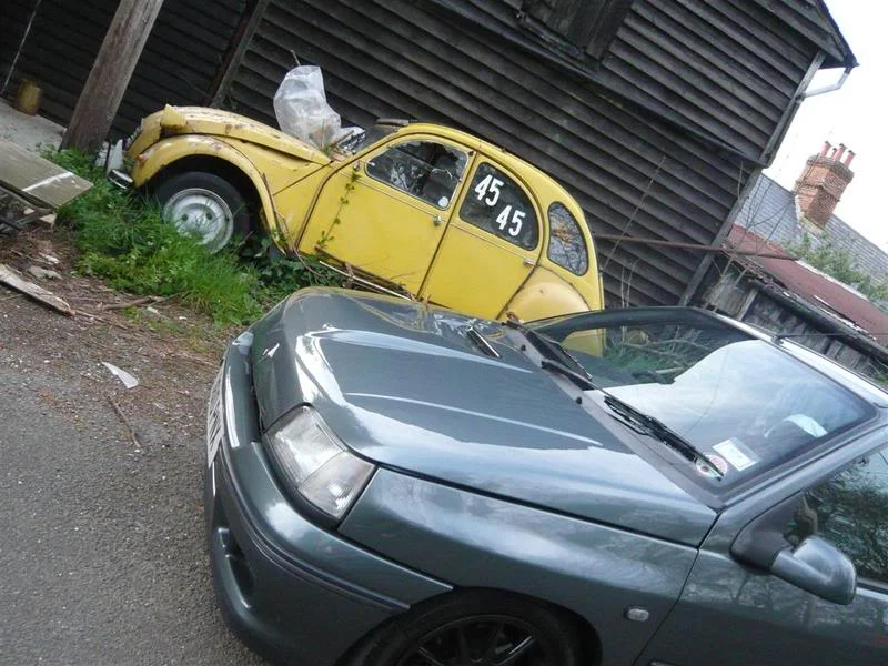 P1000354.webp