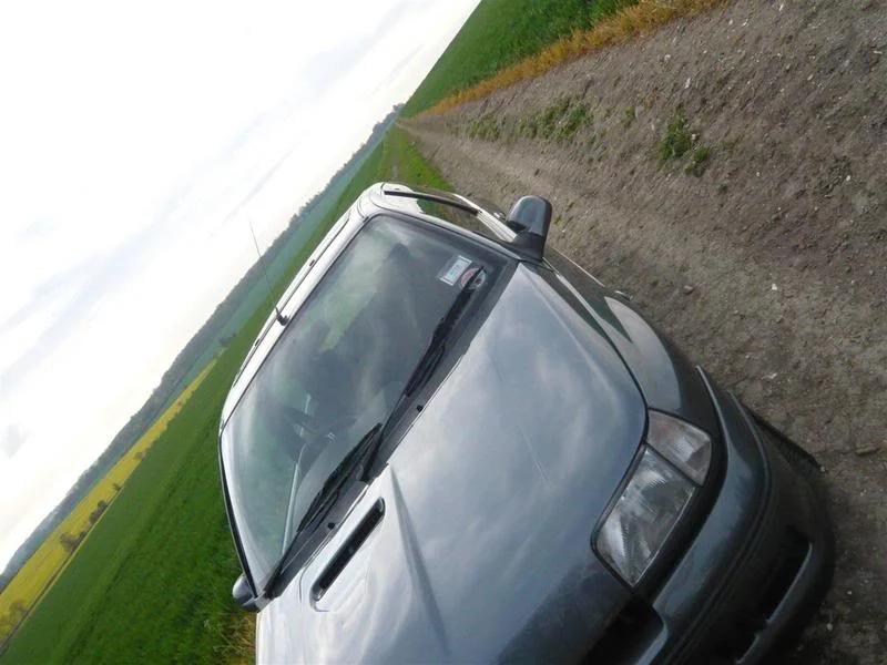 P1000358.webp