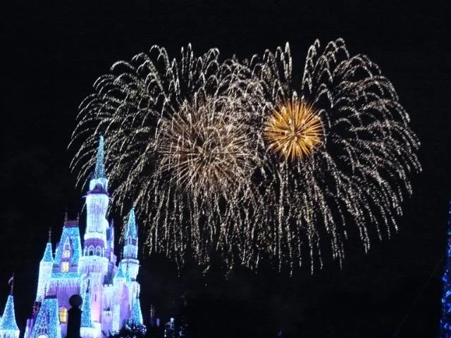 P1000366.webp