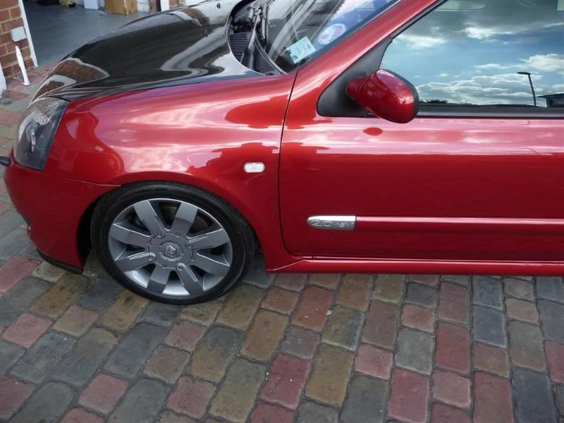 P1000387Large.webp