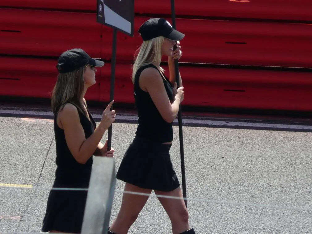 P1000491.webp