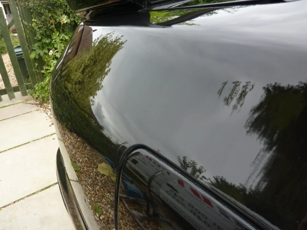 P1000550.webp