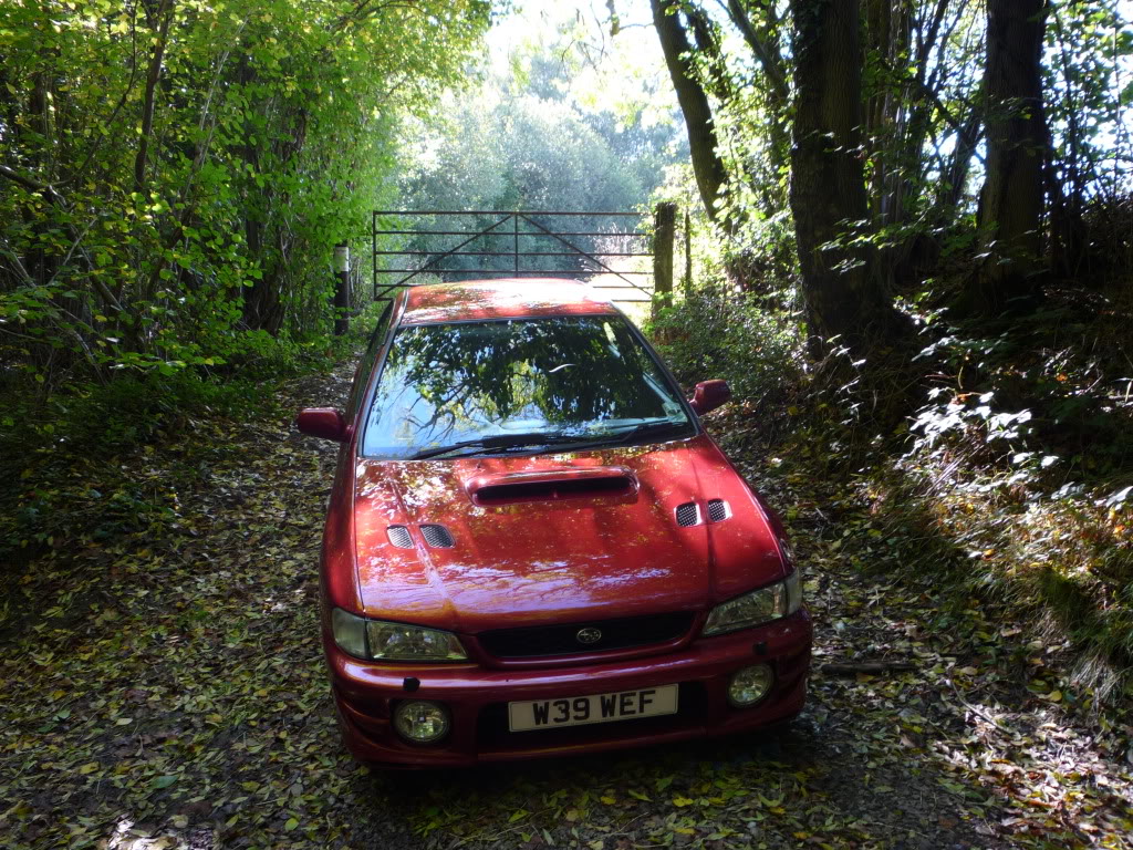 P1000554.jpg P1000554.jpg