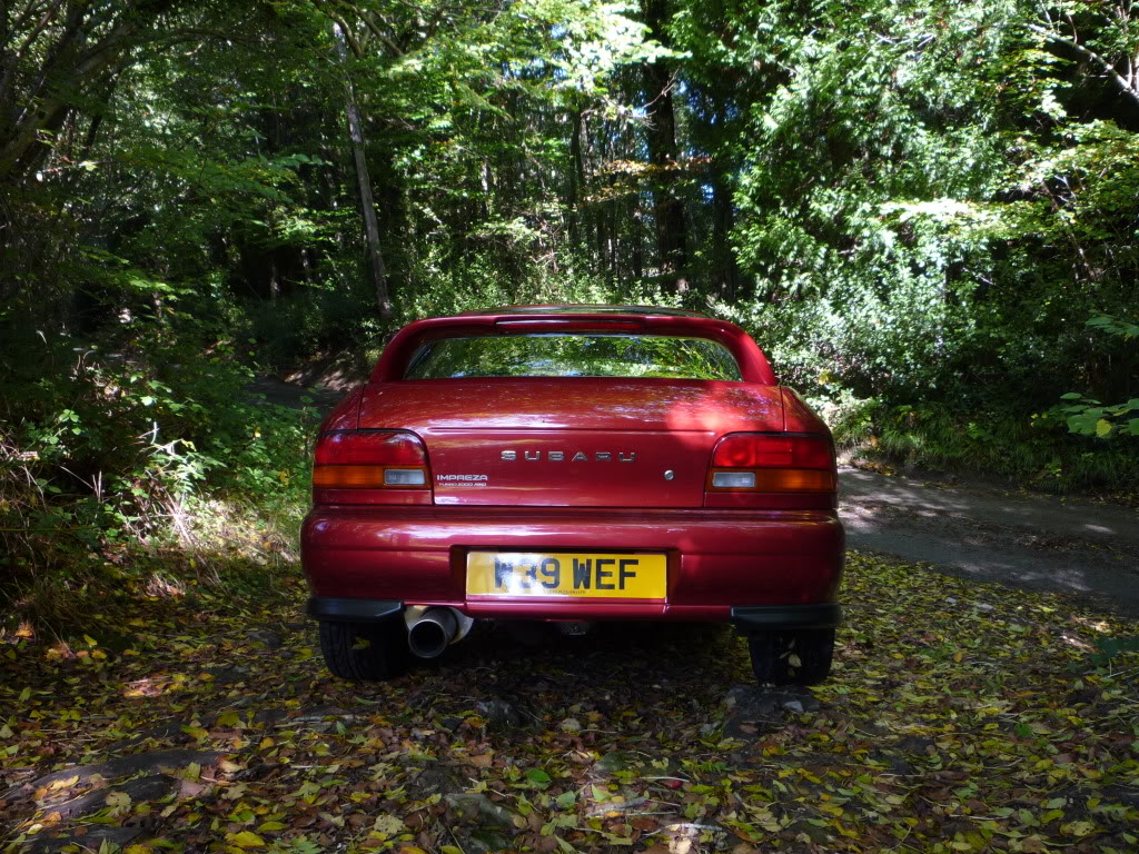 P1000556.jpg P1000556.jpg