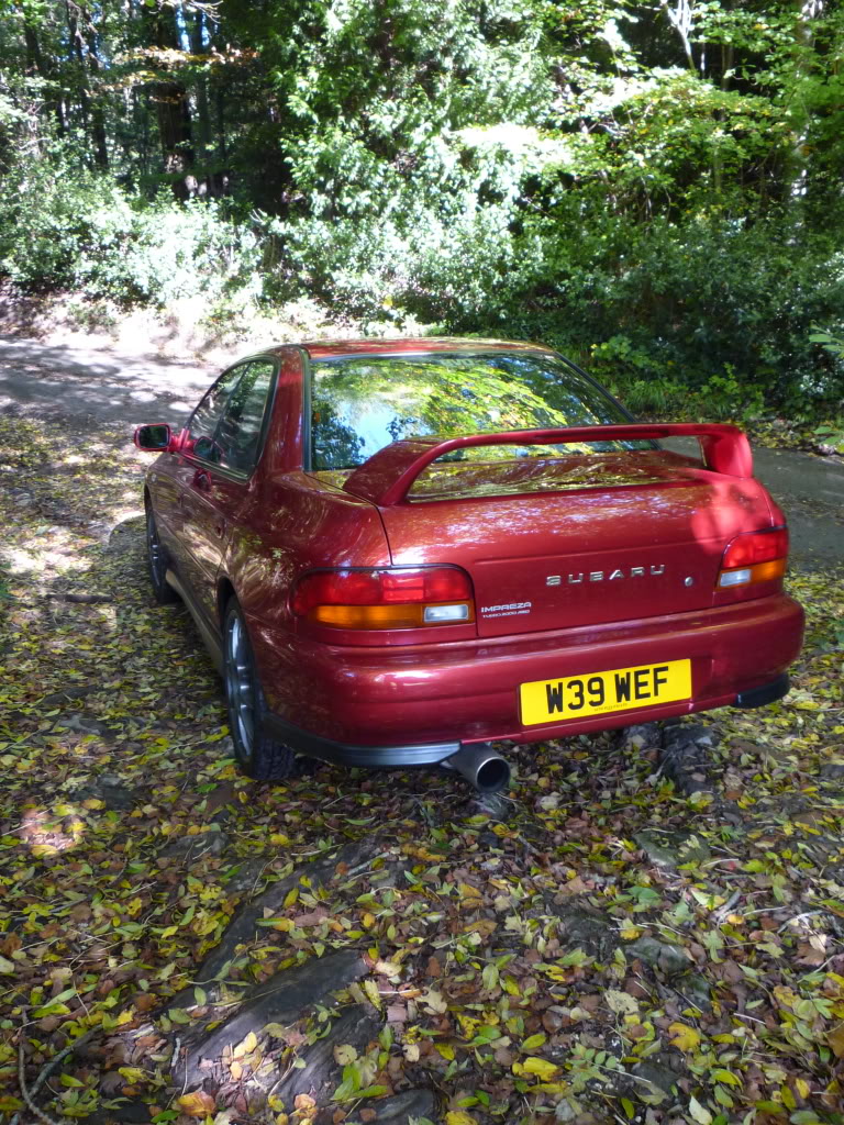 P1000557.jpg P1000557.jpg