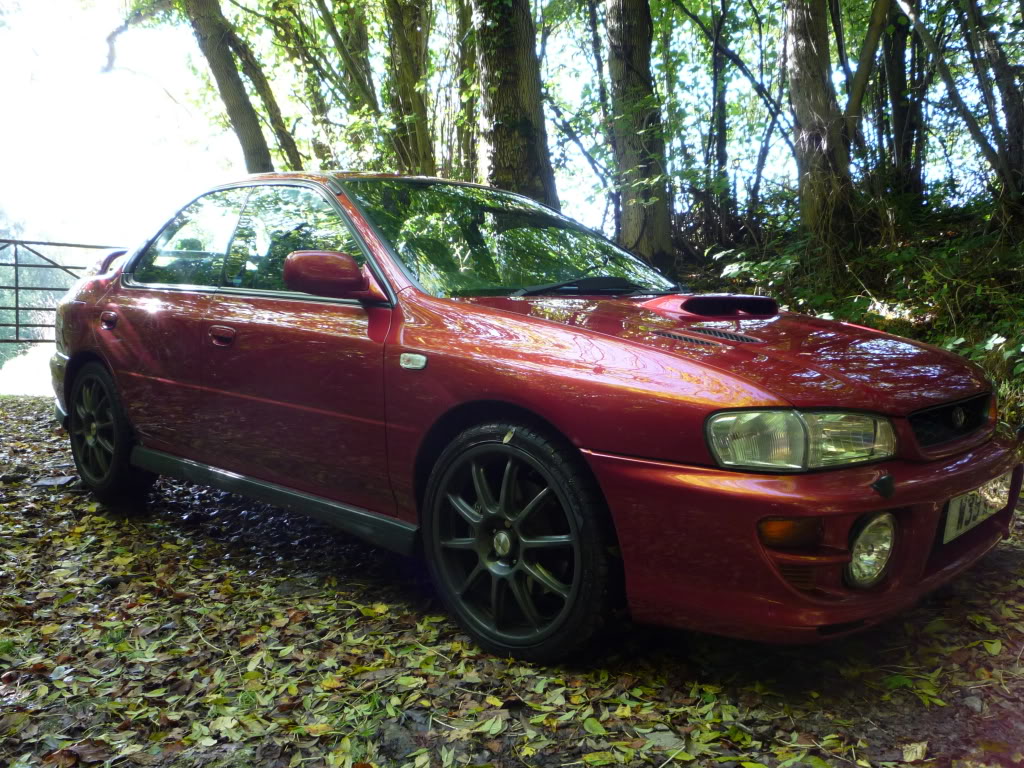 P1000558.jpg P1000558.jpg