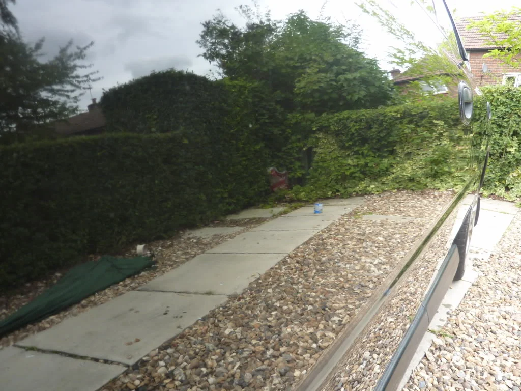 P1000560.webp