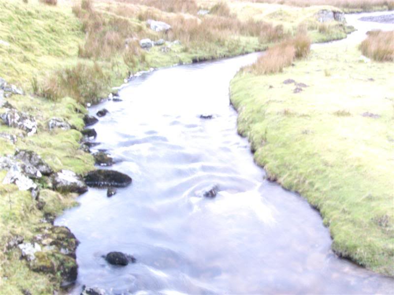 P1000574Medium.jpg