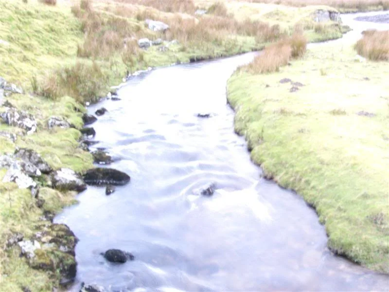 P1000574Medium.webp