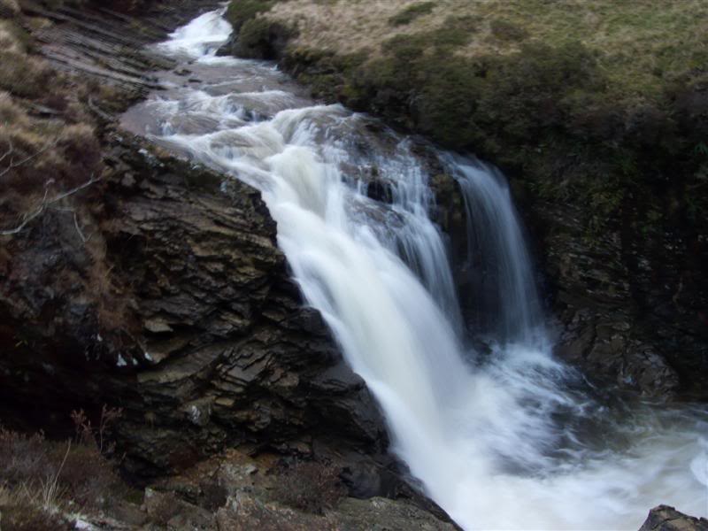 P1000598Medium.jpg