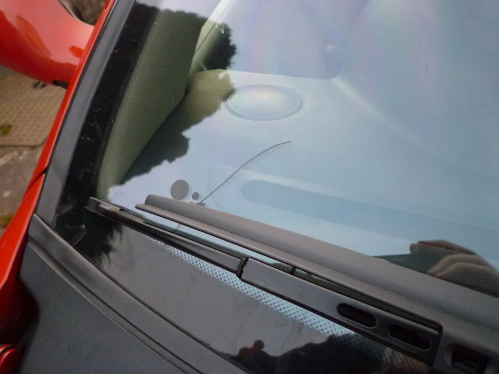 P1000601.webp