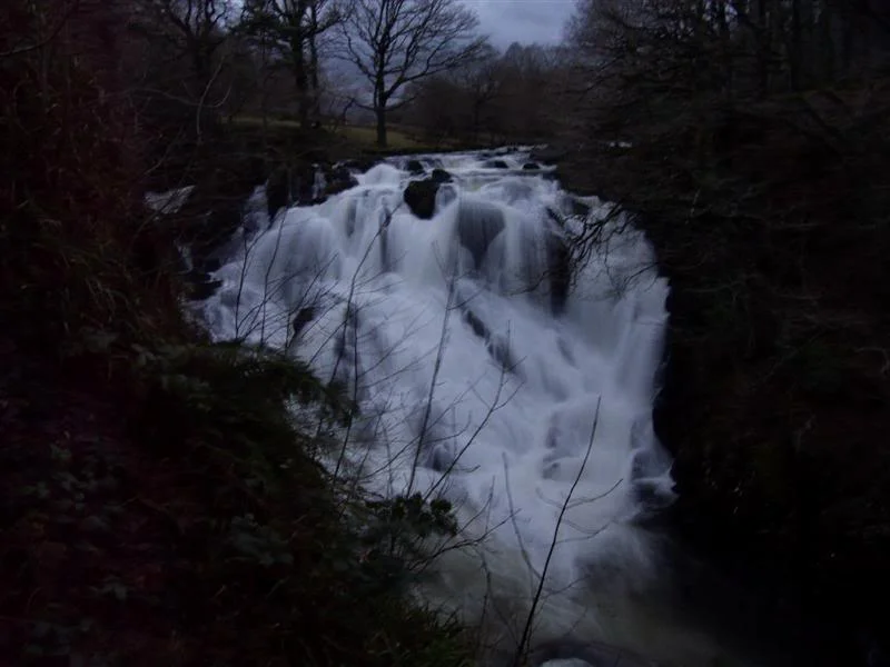 P1000623Medium.webp