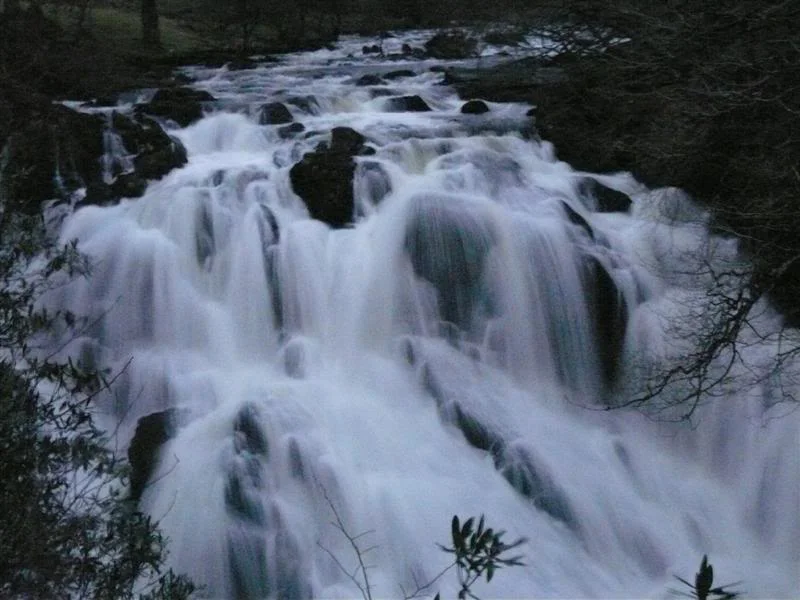 P1000638Medium.webp
