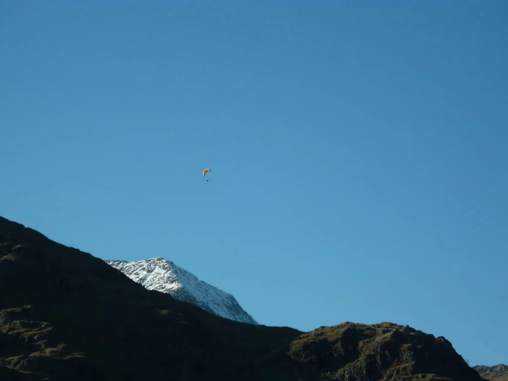 P1000898.webp