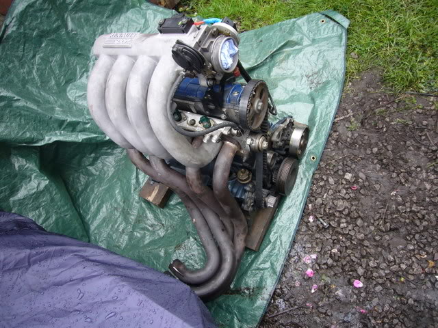 P1000911.jpg