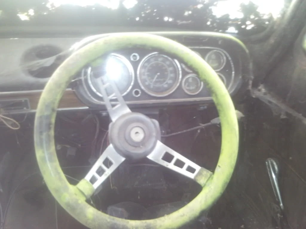 P100303_132128-1.webp