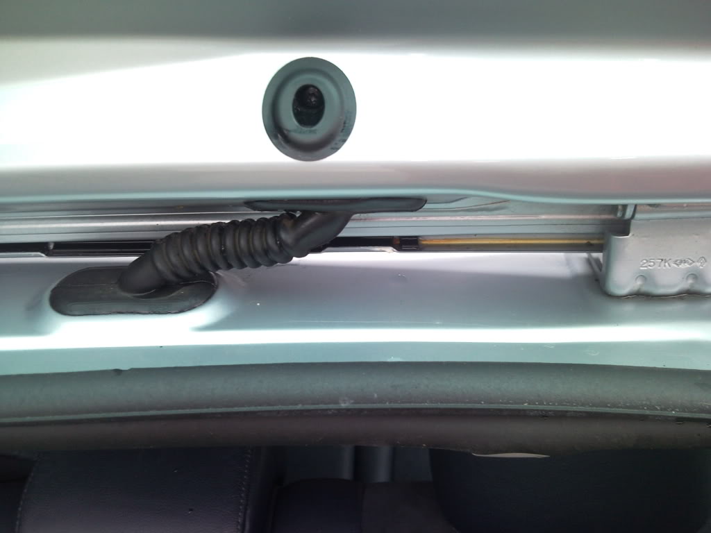 P100707_095339.jpg P100707_095339.jpg