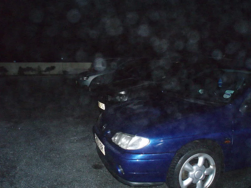 P1010013.webp