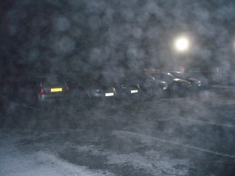 P1010014.jpg