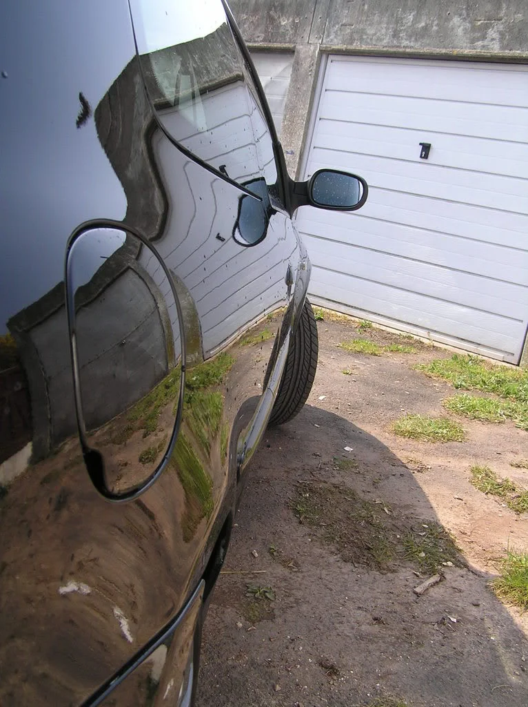 P1010024.webp