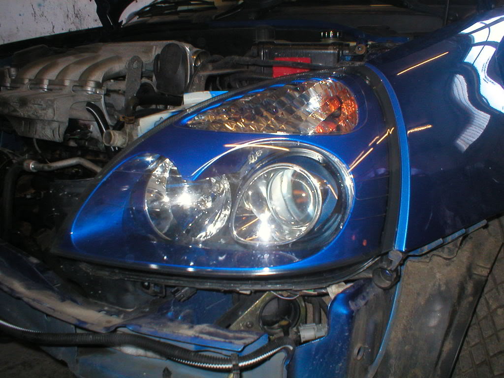 P1010028.jpg