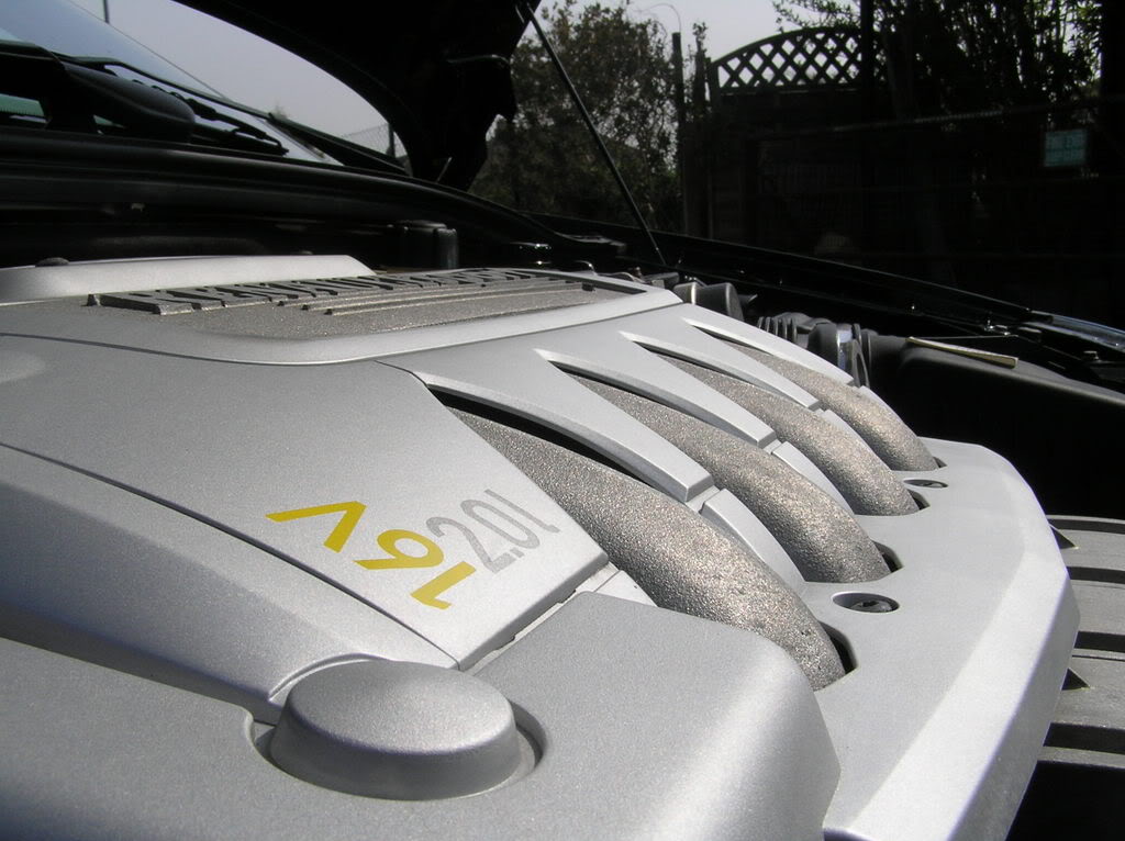 P1010047.jpg P1010047.jpg