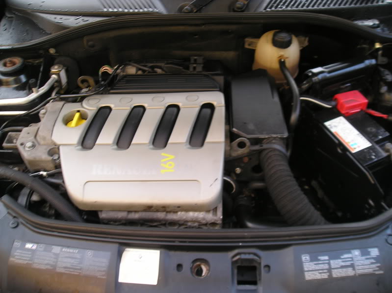 P1010065.jpg P1010065.jpg