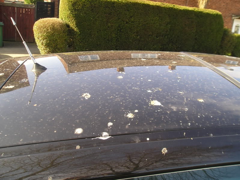 P1010088.jpg P1010088.jpg