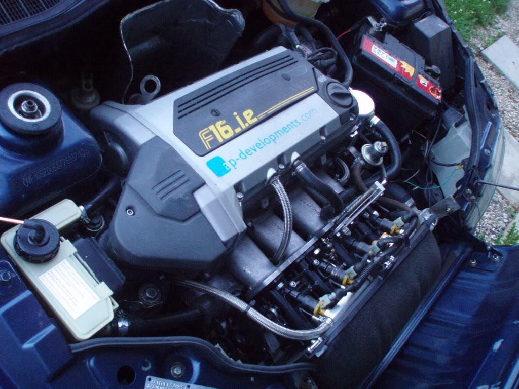 P1010155.jpg