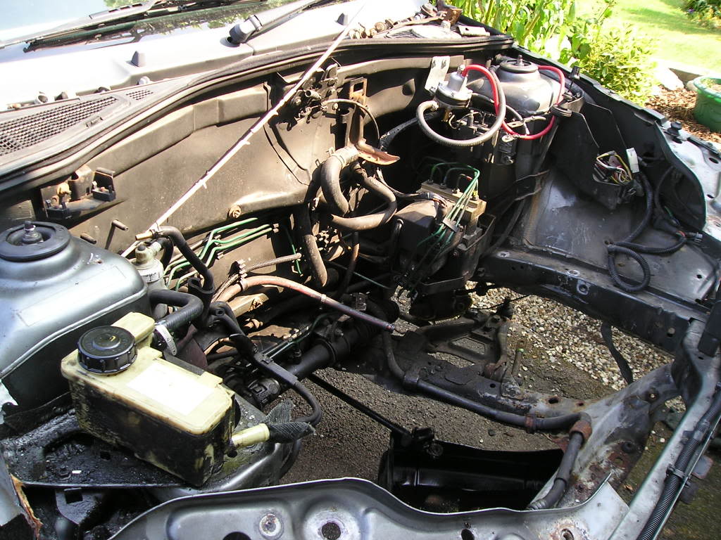 P1010181.jpg