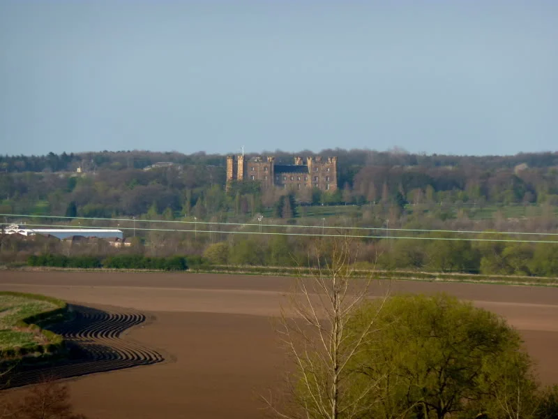 P1010210-1.webp